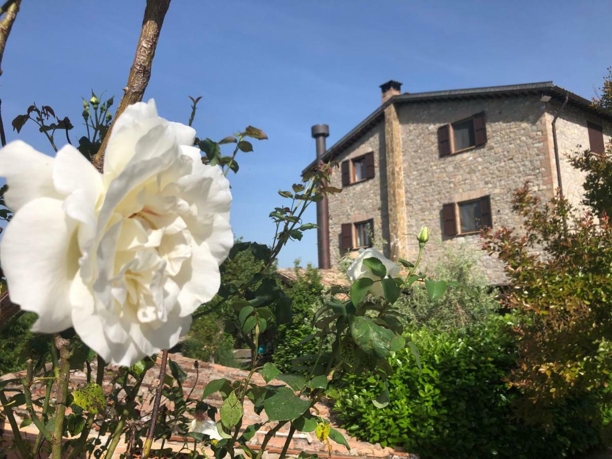 Agriturismo Beata Vanna ฟาโบร ภายนอก รูปภาพ