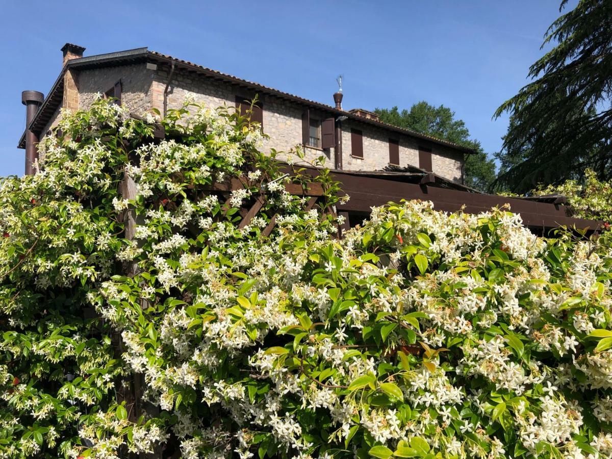 Agriturismo Beata Vanna ฟาโบร ภายนอก รูปภาพ